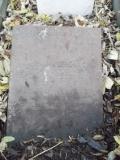 image of grave number 435425